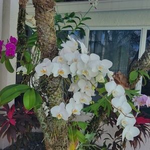 Meet your Posher, Raquel